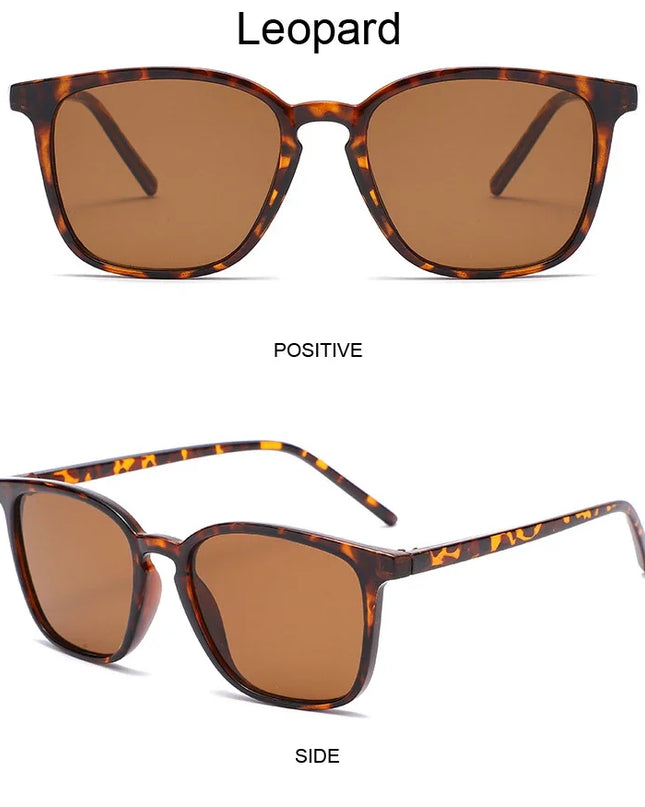 Fashion Square Sunglasses for Women