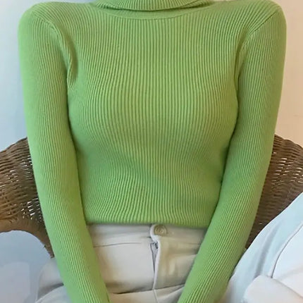 Suéter Cuello Alto | High Neck Sweater